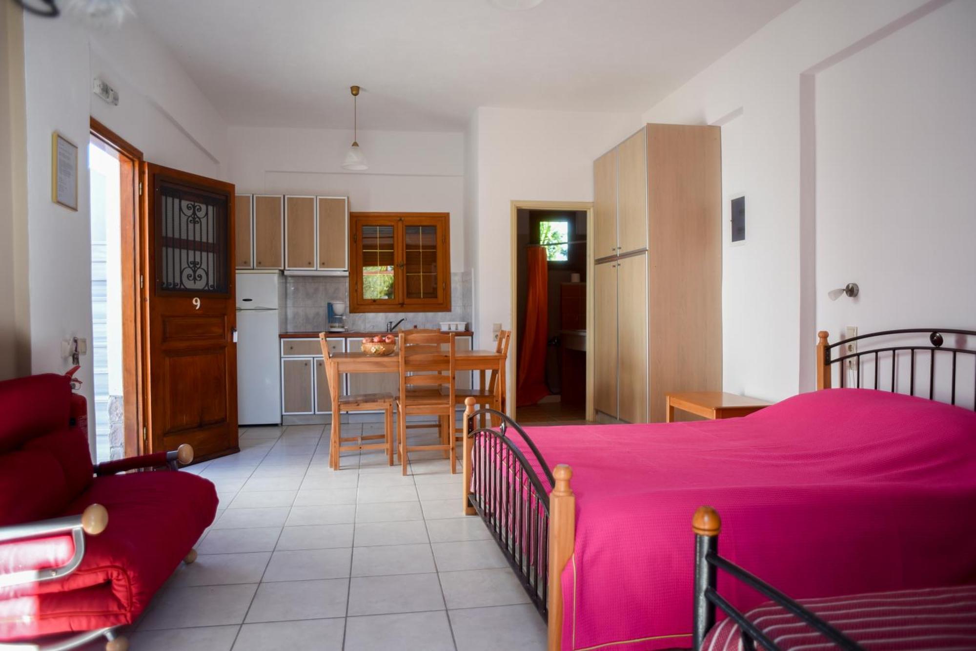 Mikro Xorio Vathí Chambre photo